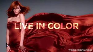 L'Oréal Paris Feria Power Copper 'Dare to Live in Copper Hair' 9.jpg