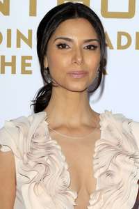 Roselyn-Sanchez--2016-Latin-Recording-Academy-Person-of-the-Year--01.jpg