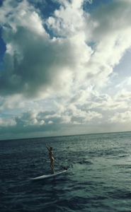Screenshot_2016-11-17-08-41-49.png