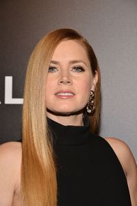 amya131116ZNimage1020.jpg