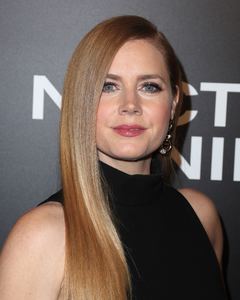 amya131116ZNimage1026.jpg