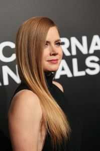 amya131116ZNimage1028.jpg