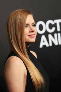 amya131116ZNimage1034.jpg