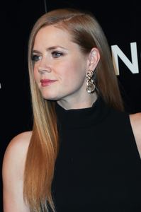 amya131116ZNimage1045.jpg