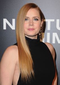 amya131116ZNimage1048.jpg