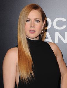 amya131116ZNimage1053.jpg
