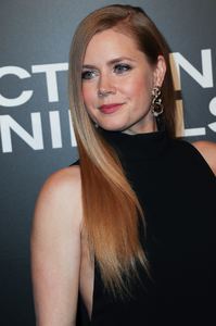 amya131116ZNimage1063.jpg