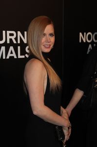 amya131116ZNimage1080.jpg