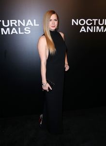 amya131116ZNimage1097.jpg