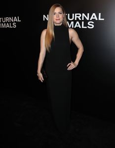 amya131116ZNimage1105.jpg