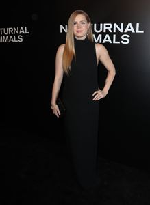 amya131116ZNimage1106.jpg
