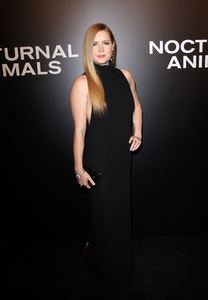 amya131116ZNimage1109.jpg