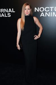 amya131116ZNimage1120.jpg