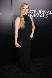 amya131116ZNimage1125.jpg