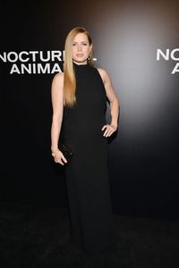 amya131116ZNimage1131.jpg
