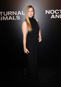 amya131116ZNimage1135.jpg