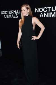 amya131116ZNimage1143.jpg