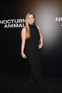 amya131116ZNimage1144.jpg
