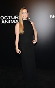 amya131116ZNimage1145.jpg