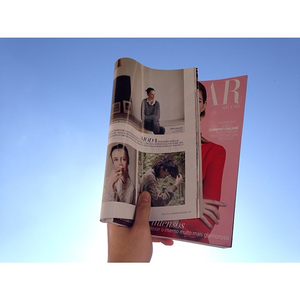 edie_pauloraic_bazaarbr_may14.jpg