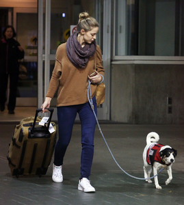 mbenoist281116ZNimage4.jpg
