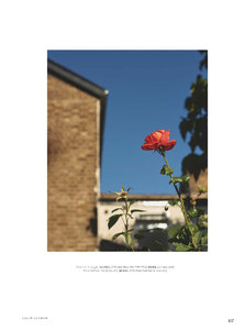 nicoles031116ZNimage6.jpg