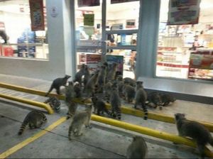 black_friday.jpg