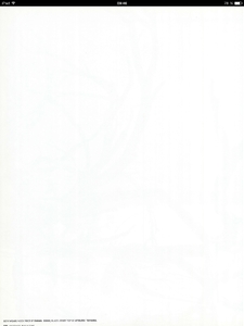 12.jpeg
