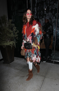   nicolet140117BZNimage3.jpg