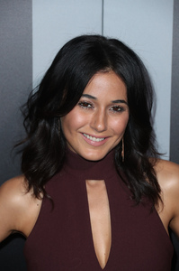  echriqui180117BZNimage4.jpg