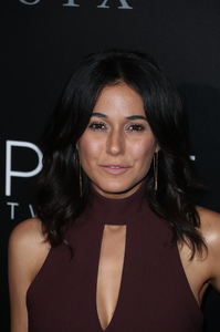   echriqui180117BZNimage8.jpg