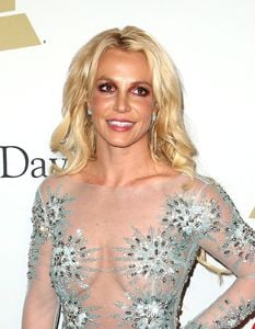     bspears110217BZNimage102.jpg