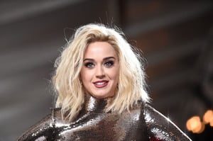  katyp120217BZNimage102.JPG