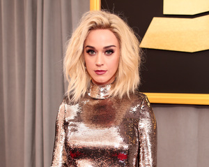  katyp120217BZNimage115.jpg