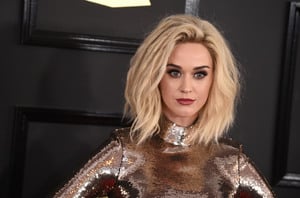  katyp120217BZNimage118.JPG