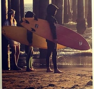 58a4a3483b02a_VPVenicebeach_n(2).thumb.jpg.099a28d75acc5f919f9df918126e0214.jpg