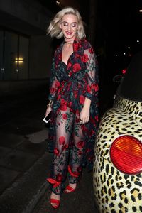    kperry220217BZNimage110.jpg