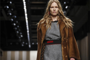 Fendi-RTW-FW17-Milan-0197-1487851478-mediumbigthumb.thumb.jpg.81caea5274a53767e4fc46ae514e32a8.jpg