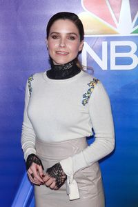    sbush020317BZNimage5.jpg