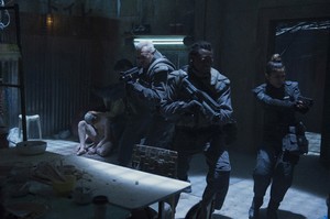    gits290317BZNimage35.jpg