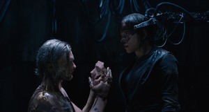    gits290317BZNimage51.jpg