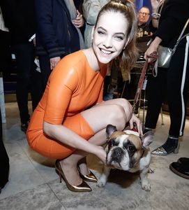 hiphop_the_french_bulldog.thumb.jpg.3c42737de641191f8b5bc4c7c938cd58.jpg