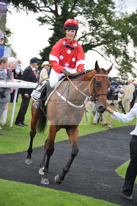edie_DON-SIN-428__glorious_goodwood_28jul11_donfeatures.thumb.jpg.42114433a9feff86a56e3189054e32a0.jpg