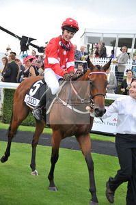 edie_DON-SIN-432_glorious_goodwood_28jul11_donfeatures.thumb.jpg.4f743da1e2949cd2c86221f5bcf86290.jpg