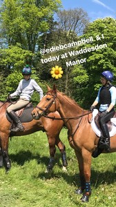 edie_igstory_7may17_lynseyalexander_1.thumb.jpg.27566bdeb532d0372d8e74e8857384cd.jpg