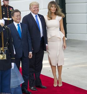 41E3BF8400000578-4652752-Melania_Trump_returned_to_Washington_DC_from_New_York_on_Thursda-a-54_1498779332996.jpg