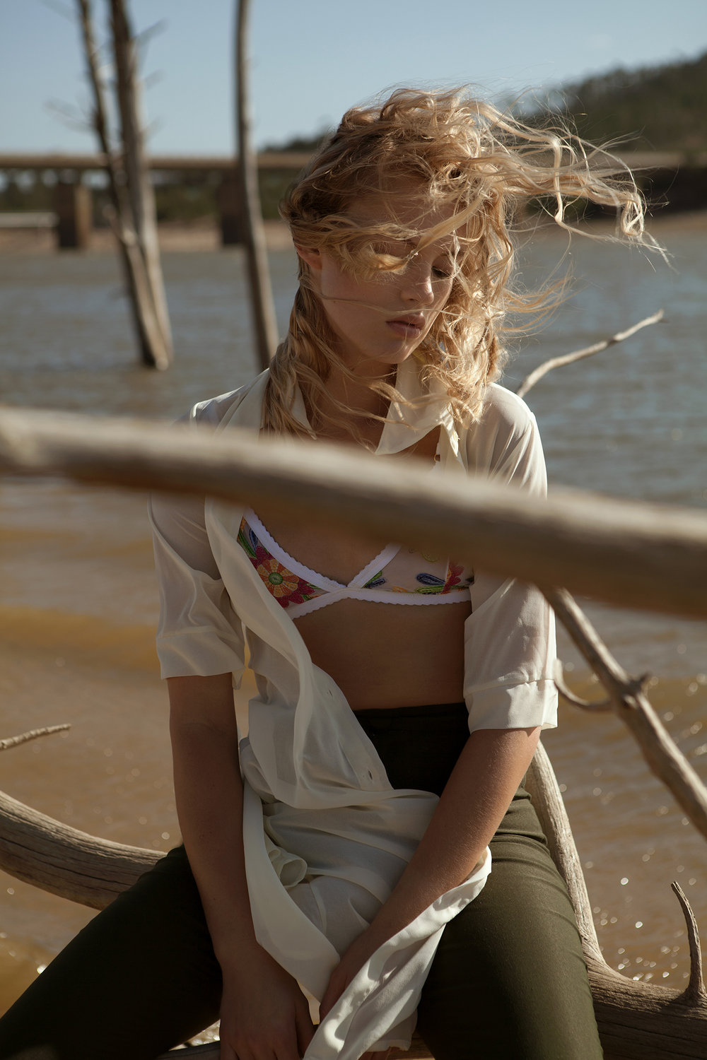 Ariel Van Heerden - georgette6.jpg
