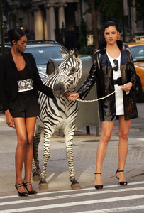 Adriana Lima Maybelline zebra photoshoot (18).jpg