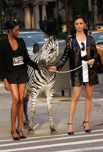 Adriana Lima Maybelline zebra photoshoot (18).jpg