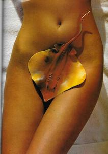Vogue Uk May 79 8_zpskh9z39ow.jpg
